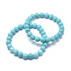 Natural Howlite Bead Stretch Bracelets BJEW-K212-B-011-1