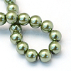 Baking Paint Pearlized Glass Pearl Round Bead Strands X-HY-Q003-10mm-49-4