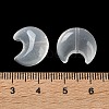 Baking Paint Transparent Glass Beads DGLA-F003-01C-2