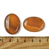 Natural Red Agate Cabochons G-L601-03C-03-3