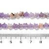 Natural Amethyst Beads Strands G-G085-B51-02-5