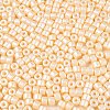 Baking Paint Pearlized Glass Seed Beads SEED-T008-03B-3