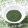 MIYUKI Delica Beads SEED-JP0008-DB1267-2