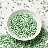 8/0 Opaque Colours Seep Glass Seed Beads SEED-F003-04B-06-2