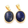 Natural Lapis Lazuli Pendants G-B012-10G-01-2