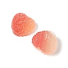 Imitation Candy Food Style Resin Cabochons RESI-R461-01F-2