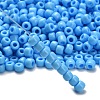 TOHO 3/0 Round Beads SEED-TR03-0043-2