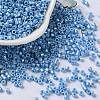 Baking Paint Glass Seed Beads X-SEED-S042-15A-11-1