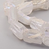 Electroplated Natural Quartz Crystal Beads Strands G-D0009-01B-08-3