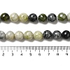 Natural Xiuyu Jade Beads Strands G-H298-A08-04-5
