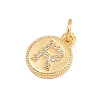 Brass Micro Pave Clear Cubic Zirconia Charms CU-CBA56CE-12G-R-2