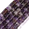 Natural Amethyst Beads Strands G-M420-A17-01-2