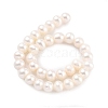 Natural Cultured Freshwater Pearl Beads Strands PEAR-C003-12I-3