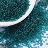MIYUKI Round Rocailles Beads X-SEED-G007-RR2405-1