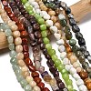 Mixed Gemstone Strands G364-1