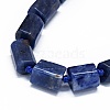 Natural Sodalite Beads Strands G-O170-101-3