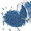 MIYUKI Round Rocailles Beads SEED-G007-RR5116-1