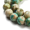 Natural Peruvian Turquoise(Jasper) Beads Strands G-Z062-A01-02-4