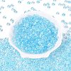 Transparent Colours Glass Seed Beads SEED-Q042-01A-A08-2