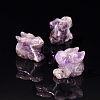 Natural Amethyst Display Decorations PW-WG14A90-25-1