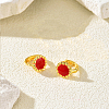 Brass Enamel Hoop Earrings for Women FJ0352-1-1