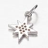 Brass Micro Pave Cubic Zirconia Charms ZIRC-K045-07P-2