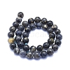 Natural Iolite Beads Strands G-E561-16-10mm-3