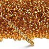 TOHO 6/0 Round Beads SEED-TR06-0022B-2