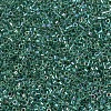 MIYUKI Delica Beads SEED-X0054-DB0060-3