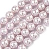 Electroplated Shell Pearl Beads Strands BSHE-G041-10mm-06-1