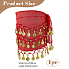 Alloy Coin Tassel Cloth Chain Belts for Dancer DIY-WH0888-880A-2