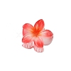 Plastic Claw Hair Clips PW-WG07B2B-07-1