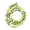 Natural Serpentine Beads Strands X-G-N166-6-3