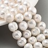 Natural Cultured Freshwater Pearl Beads Strands PEAR-C003-21B-2