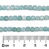 Natural Amazonite Beads Strands G-L587-C01-01-4