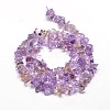 Natural Ametrine Chip Beads Strands X-G-E271-95-2