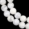 Natural Selenite Beads Strands G-G167-A02-01-4