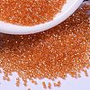 MIYUKI Delica Beads SEED-J020-DB1887-1
