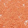 Baking Paint Glass Seed Beads X-SEED-S042-05B-83-3