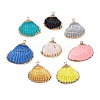 Spray Paint & Electroplate Sea Shell Pendants SSHEL-S262-08-2