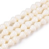 Natural Freshwater Shell Beads Strands SHEL-N036-02-1