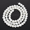 Natural Trochid Shell/Trochus Shell Beads Strands SSHEL-T014-43A-01-3