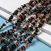 Natural Tourmaline Chips Beads Strands F082-6