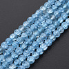 Crackle Glass Beads Strands GLAA-S192-D-006C-1