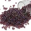 TOHO 8/0 Round Beads SEED-XTR08-0166B-1