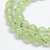 Natural Prehnite Beads Strands G-P322-47-10mm-3