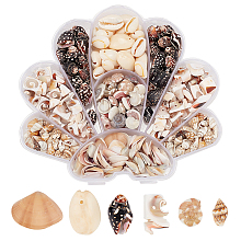   6 Styles Natural Shell Beads Display Ornaments SHEL-PH0001-46