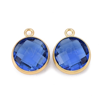Glass Charms KK-C228-02G-1