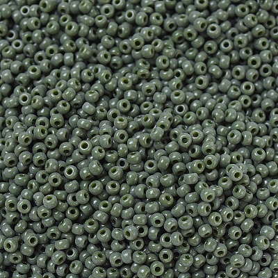 MIYUKI Round Rocailles Beads SEED-G007-RR0501-1