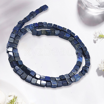 2 Strands Natural Lapis Lazuli Beads Strands G-PA0001-78-1